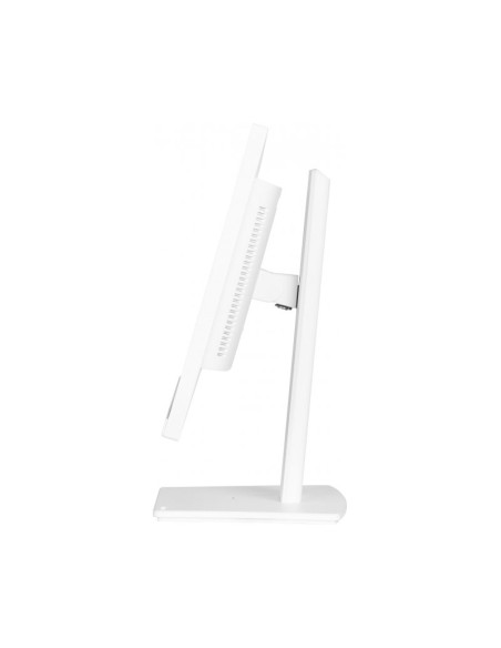 Monitor Iiyama ProLite XUB2497HSN Blanco 23.8" Full HD 100Hz Dock USB Ad