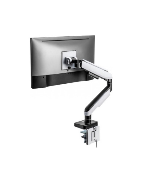 Soporte Monitor 49" Ewent EW1509