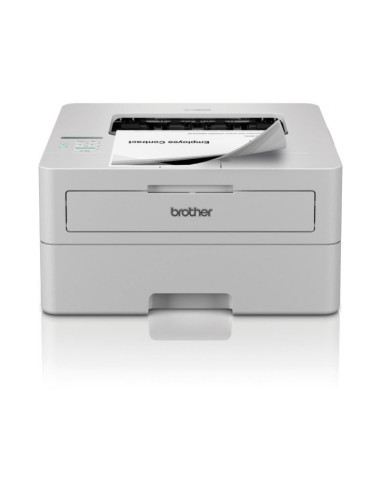 Impresora láser monocromo Brother HL-L2865DW