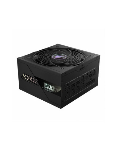 AORUS Elite P1000W ATX 3.0 (PCIe 5.0) Fuente de Alimentación 1000W