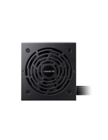 Gigabyte P750BS Fuente de Alimentación 750W