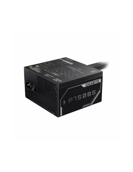 Gigabyte P750BS Fuente de Alimentación 750W