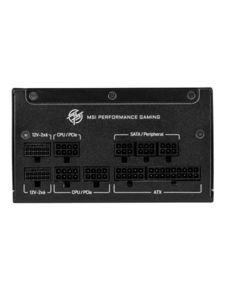 MSI MPG A1250GS ATX 3.1 (PCIe 5.1) Fuente de alimentación 1250W