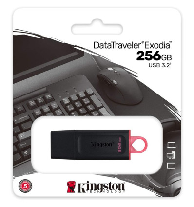 Kingston Datatraveler Exodia - Comprar Pendrive 256GB