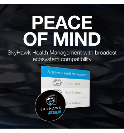 Seagate Skyhawk Surveillance 10TB 3.5" HDD