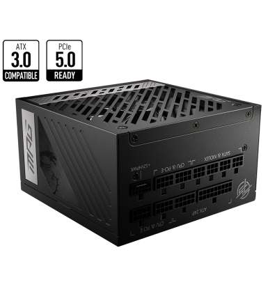 MSI MPG A1000G PCIE5 1000W - Comprar Fuente de alimentación Plus Gold