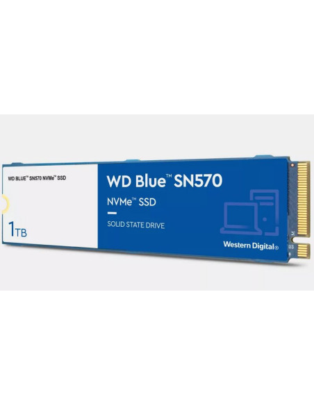 Western Digital Blue SA510 1TB M.2