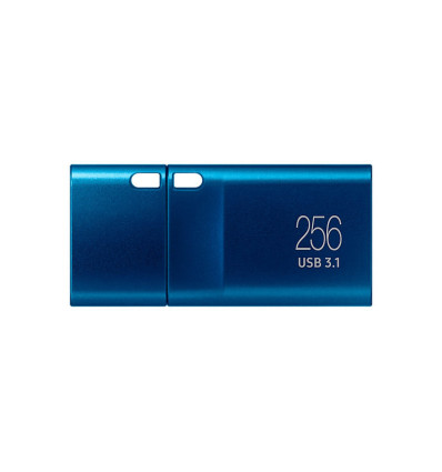 Samsung Flash Drive 256GB - Comprar Pendrive USB 3.2