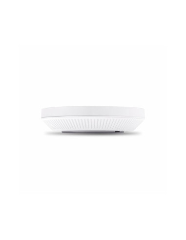Punto de acceso TP-Link EAP650