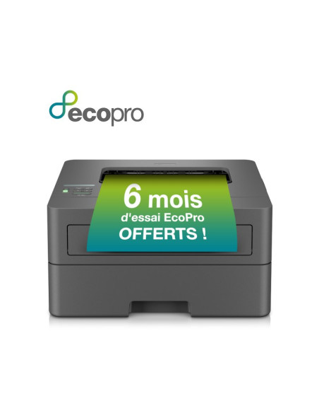 Impresora láser monocromo Brother Laser HL-L2400DWE
